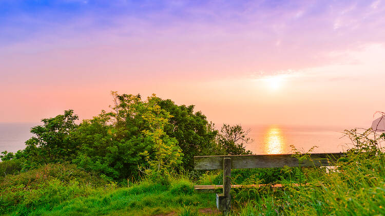 Watermouth Valley Camping Park