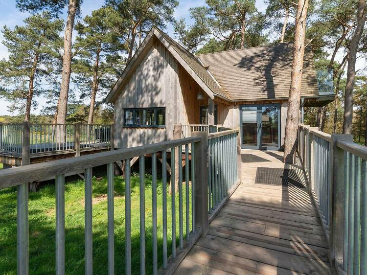 Toad Hall treehouse, Norfolk