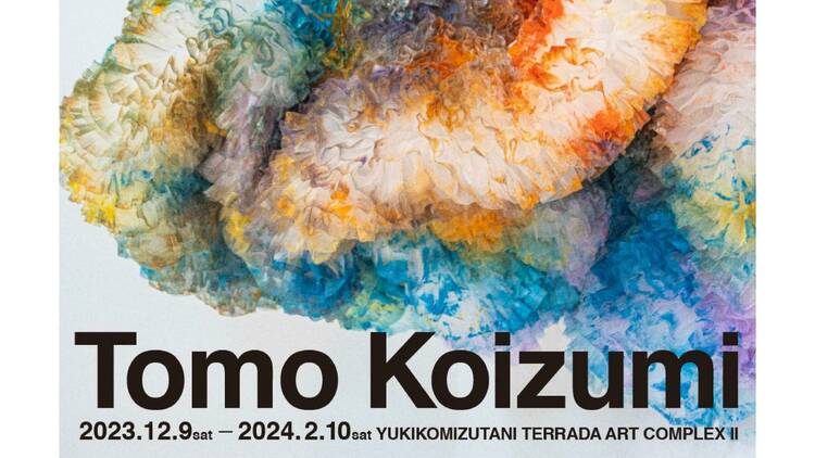 個展「Tomo Koizumi」