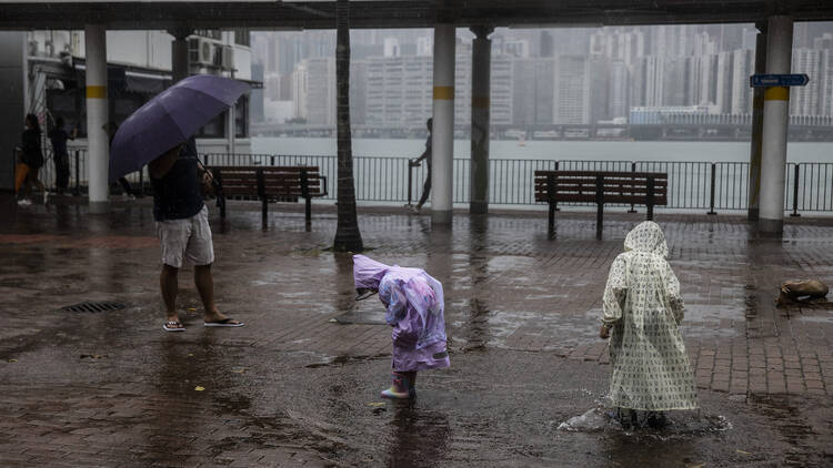 Hong Kong weather typhoon