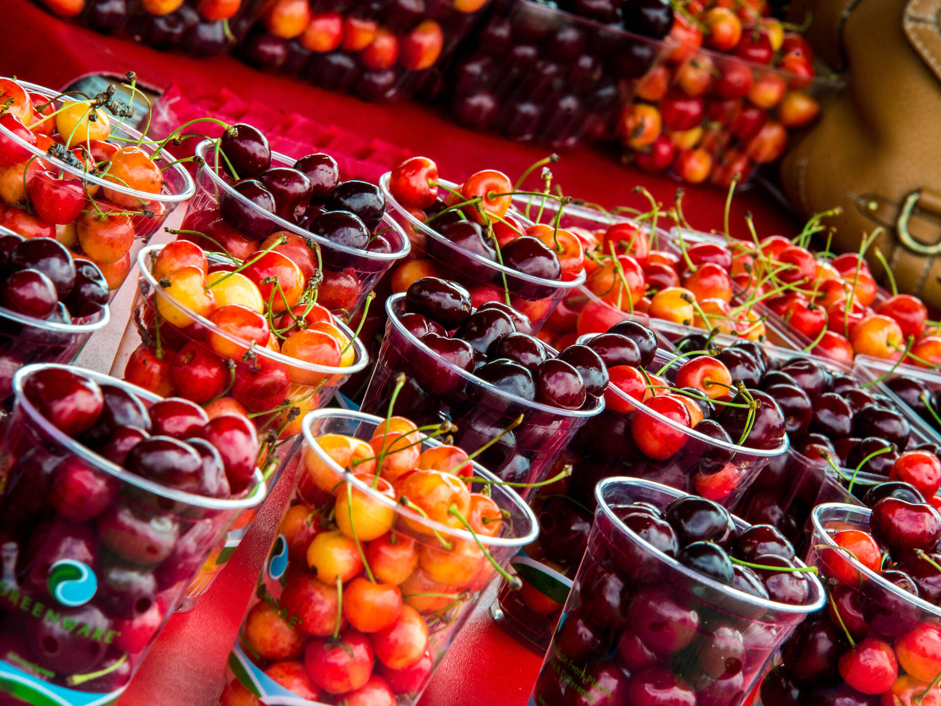 Picking cherries near me