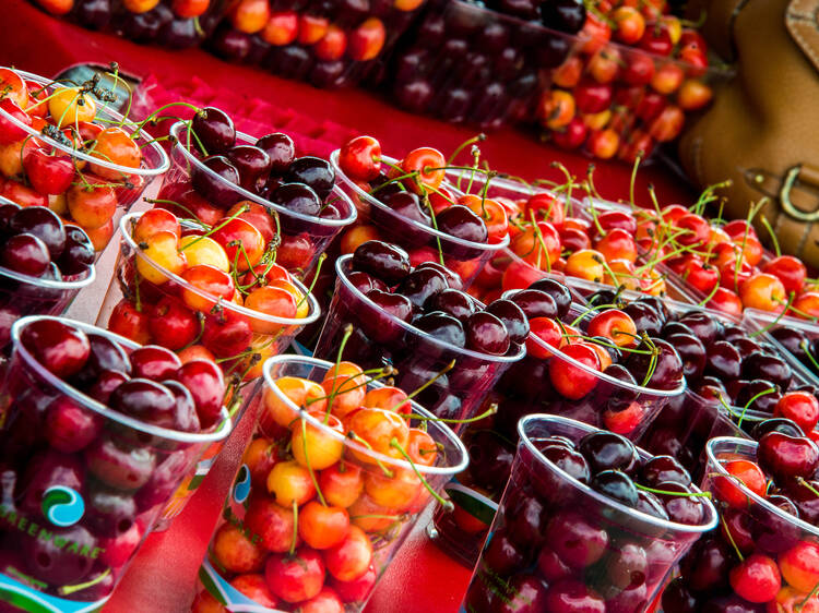 National Cherry Festival