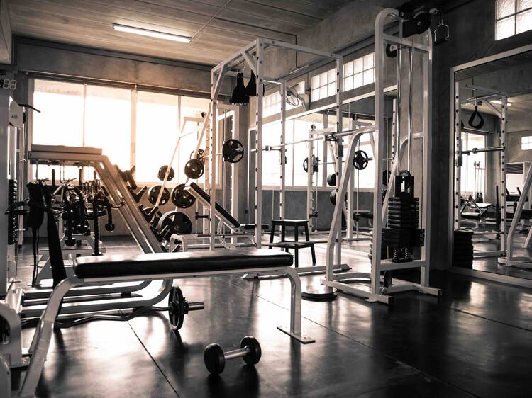 25 Best Gyms in Chicago For Getting in Shape