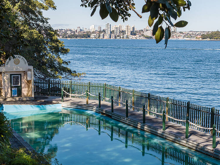 Where to find the best swimming pools (natural and not) in Sydney