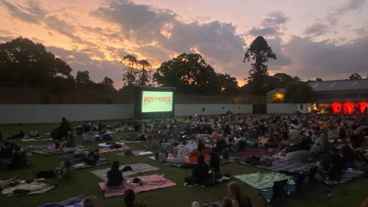 outdoor cinema at Camperdown cemetery