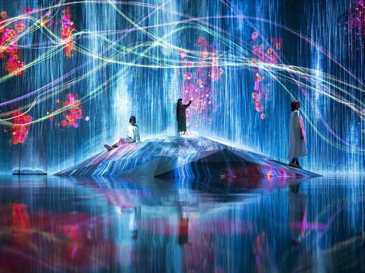 Interact with large-scale digital art