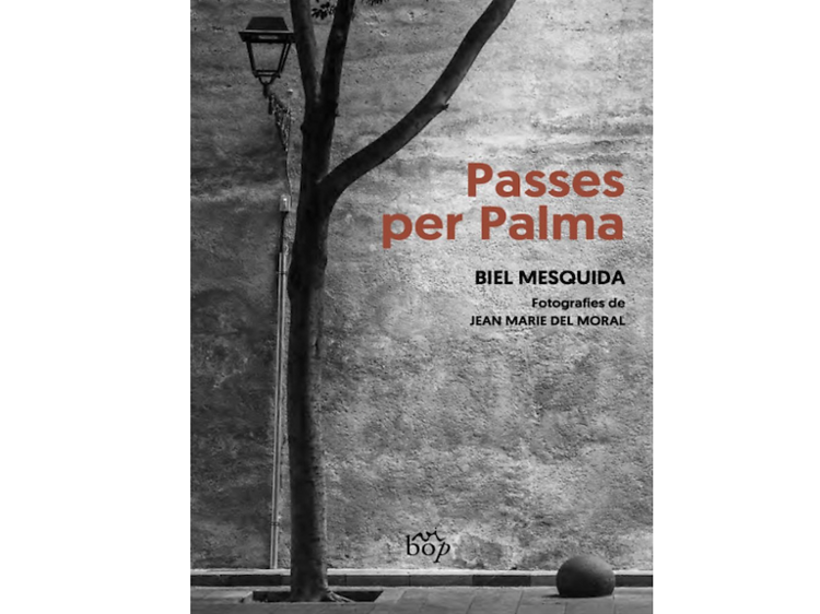 'Passes per Palma', Biel Mesquida