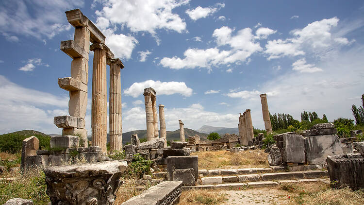 Aphrodisias, Aydın