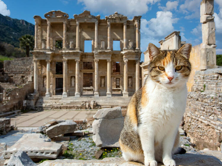 Ephesus, Izmir