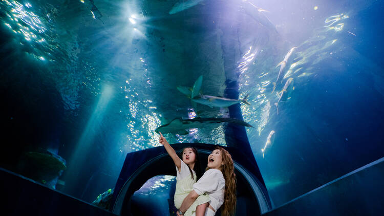 A woman holding a little girl in an aquarium.