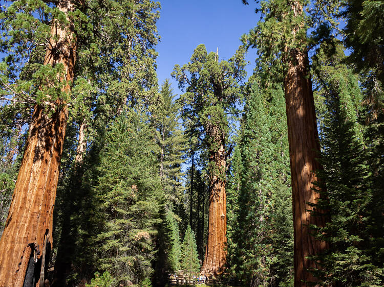 Four California parks top the list of the most polluted national parks in the U.S.