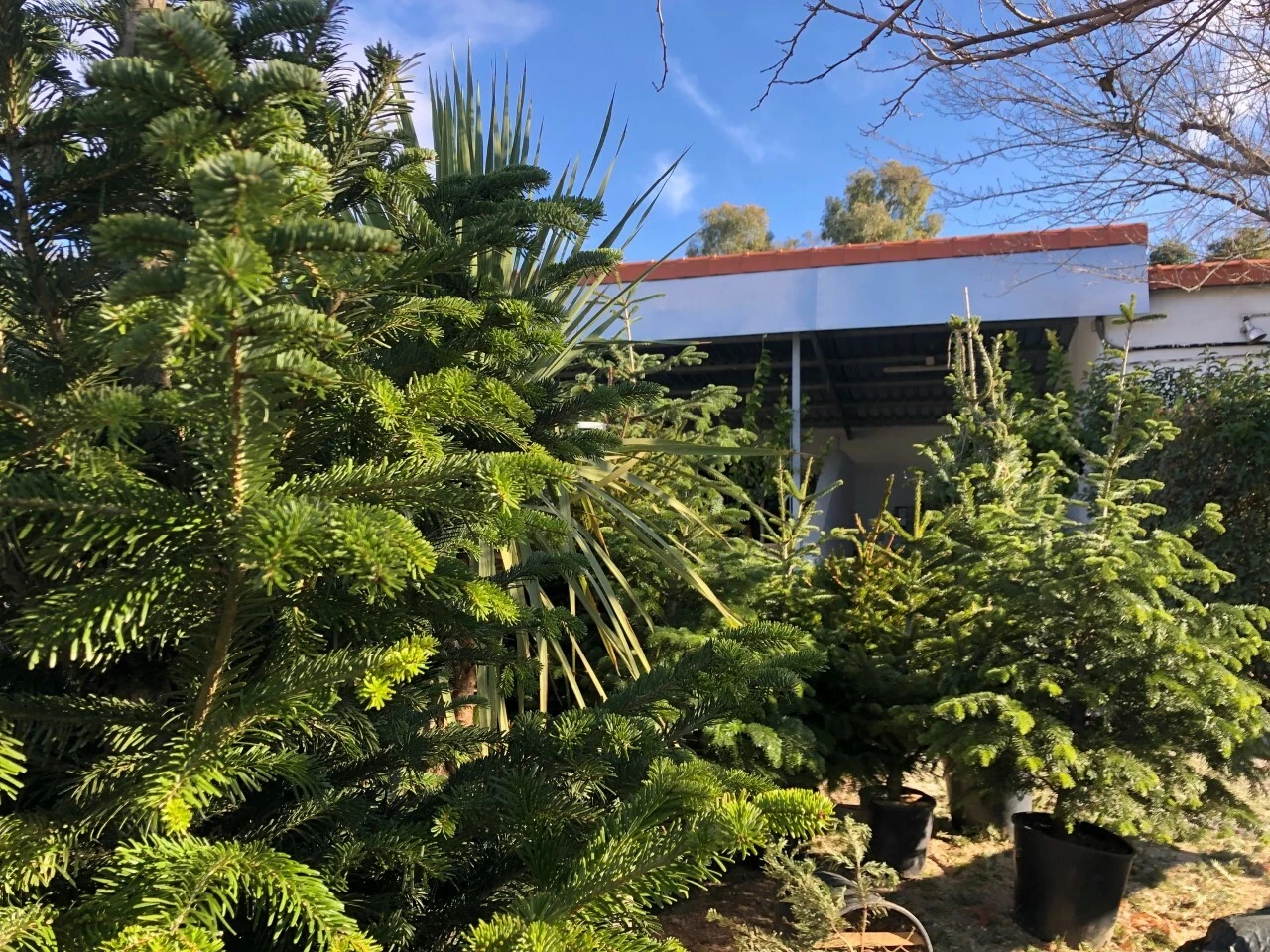 Ayuntamiento de Madrid
