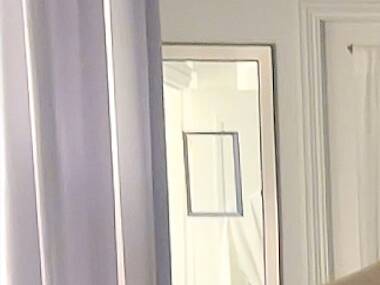 Where to go for a dog-friendly staycation in Boston Where to go for a dog-friendly staycation in Boston