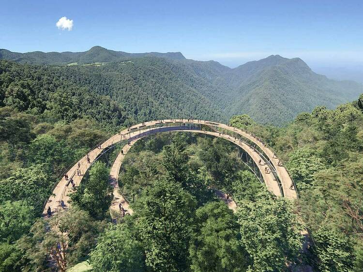 A stunning treetop skywalk and new 46km hiking trail is coming to the Gondwana Rainforest