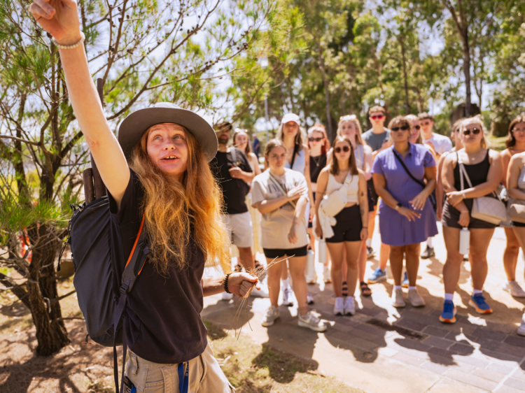 Indigenous walks and tours in Sydney