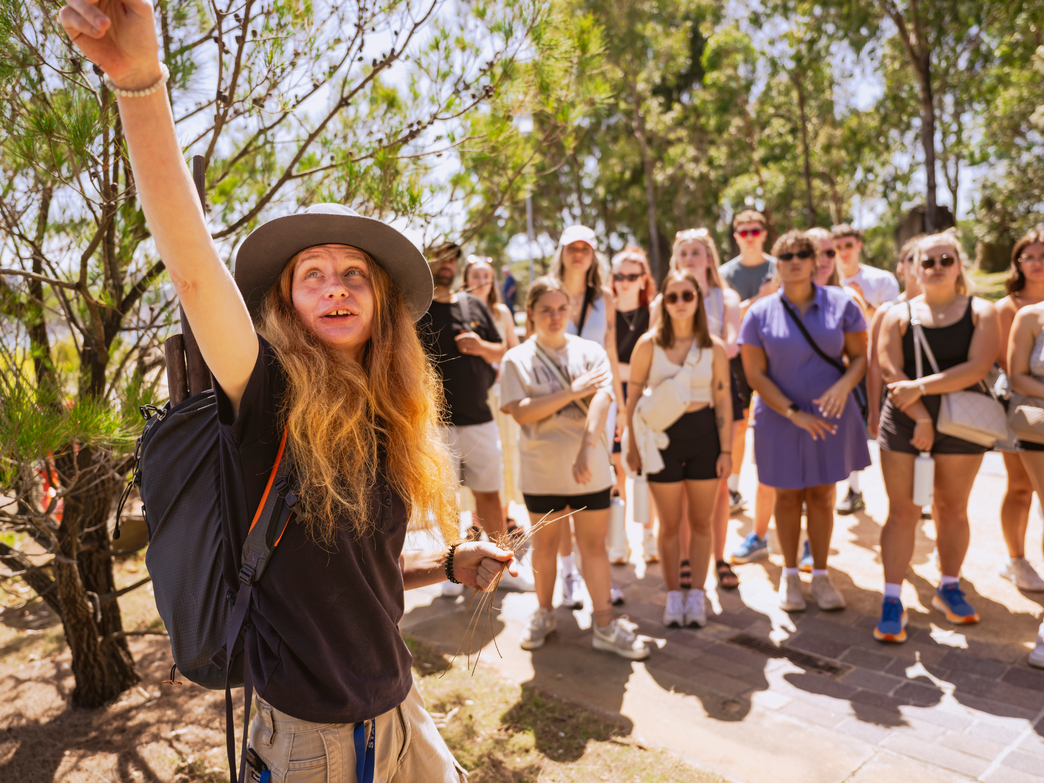 The best Indigenous Australian walks and tours in Sydney