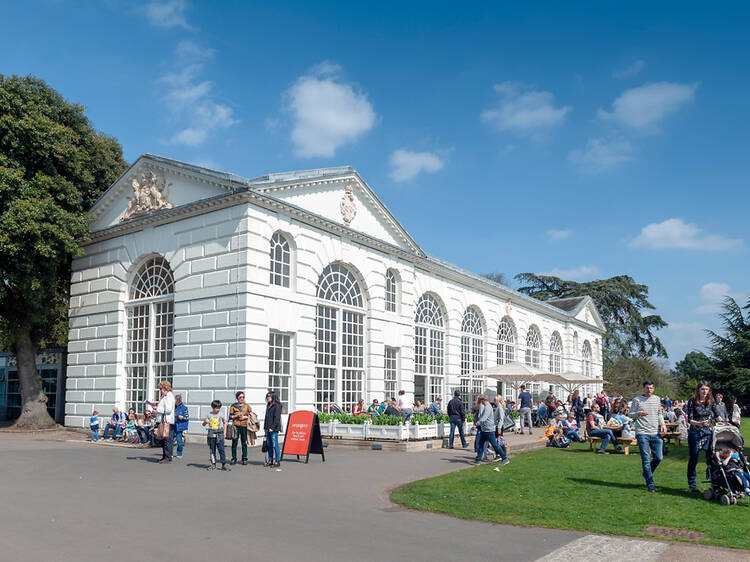 Kew Gardens’ Orangery could be getting a dazzling makeover