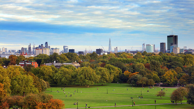 View of London from Primrose Hill