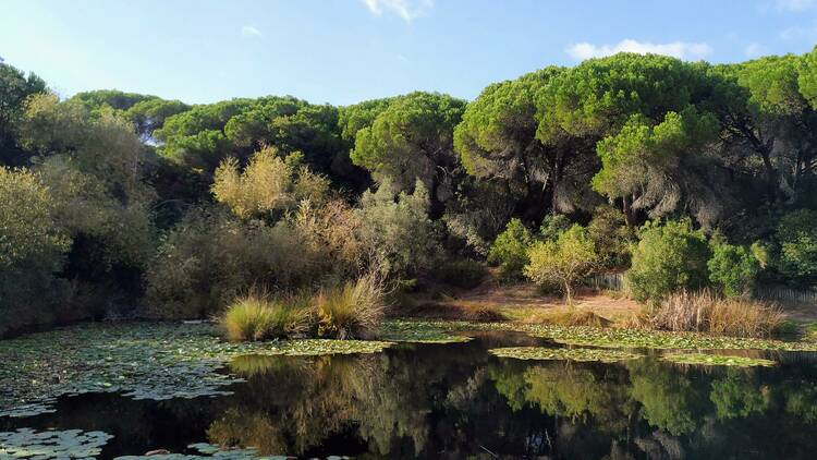 Espaço da biodiversidade