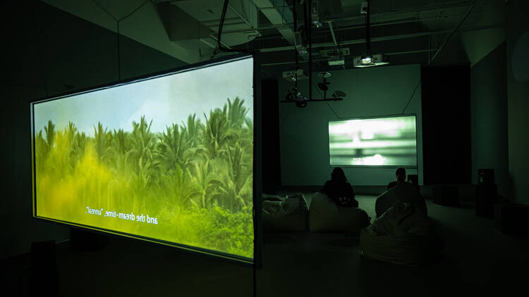 Installation view of Nguyễn Trinh Thi's ‘47 Days, Sound-less’ (2024) at SAM at Tanjong Pagar Distripark