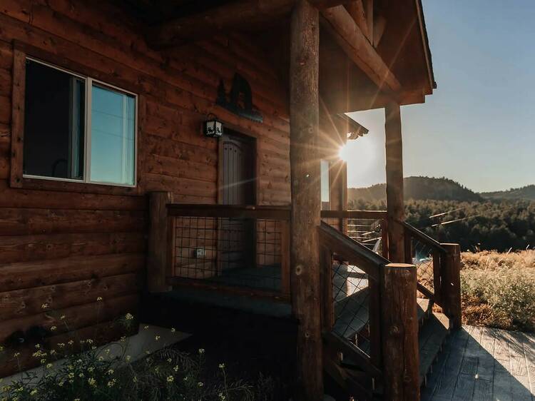 The cabin of dreams