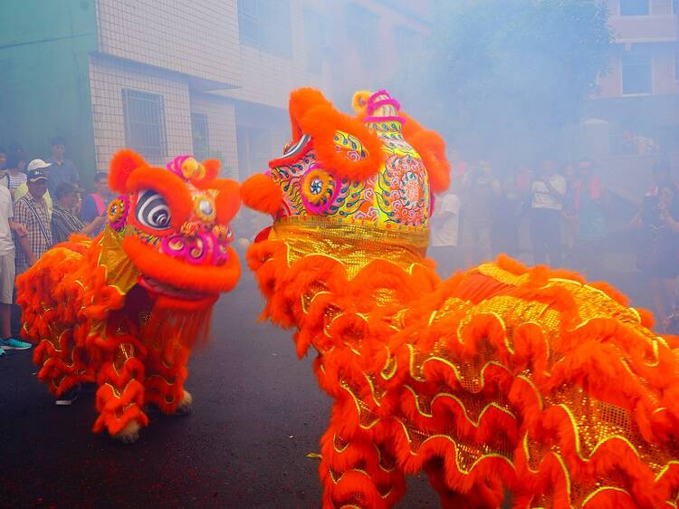 Lion and dragon dances