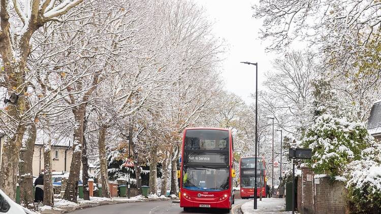London buses with snow