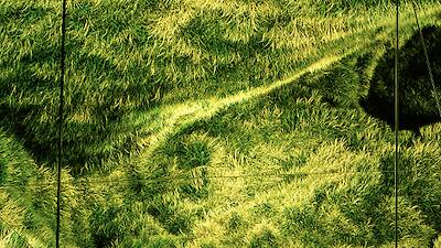 Mercer Labs, Museum of Art and Technology: What to know before you go