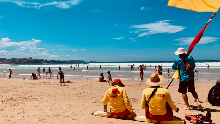 people on beach during daytime