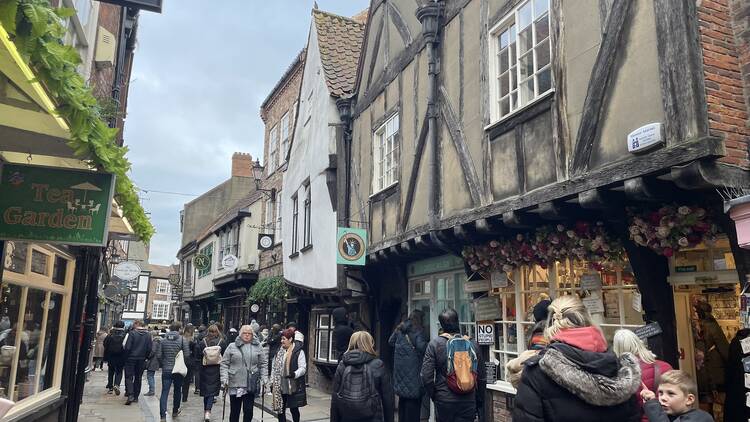 The Shambles, York