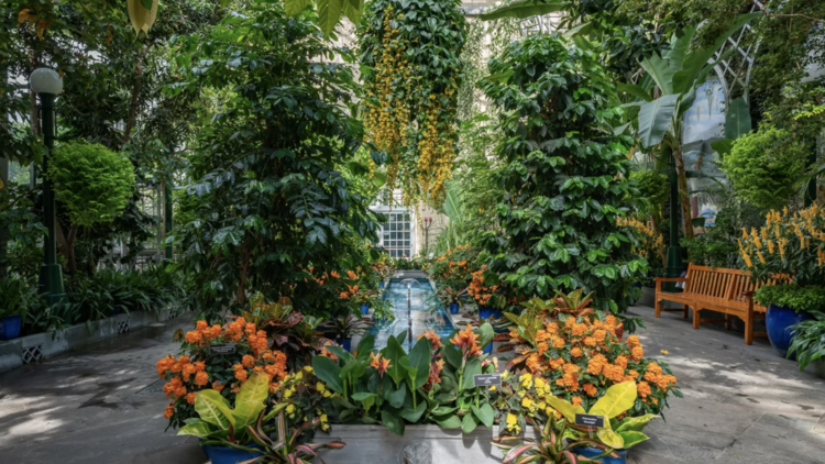 Conservatory at the U.S. Botanical Garden | Washington, D.C.