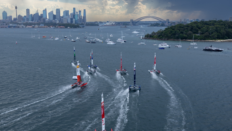 Boats competing in a sail race on Sydney Harbour