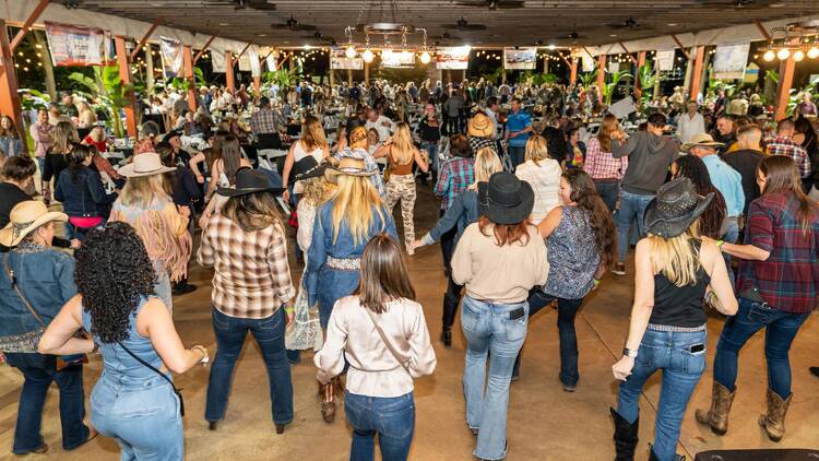 Homestead Championship Rodeo Line Dancing 