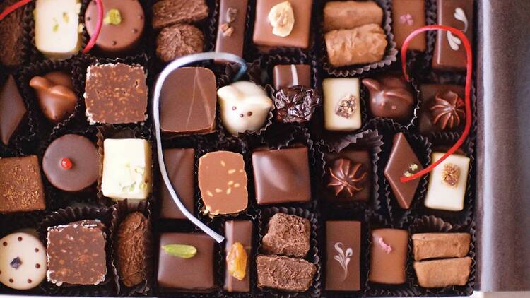assorted selection of burdick gourmet chocolates 