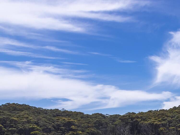 8 Best Nudist Beaches Australia 8 Best Nudist Beaches Australia