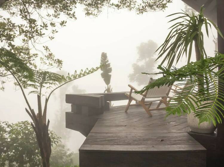 The little black cabin in jungle tranquillity