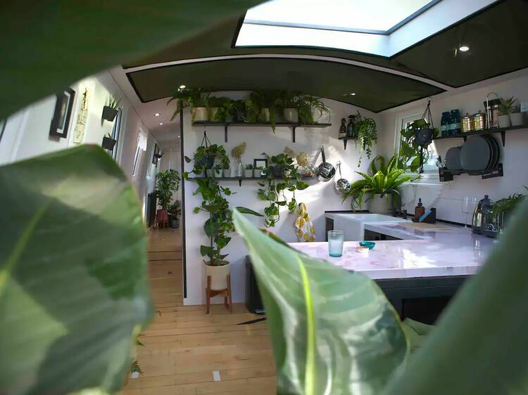 The world’s first ‘floating terrarium’ is in London – and you can stay in it