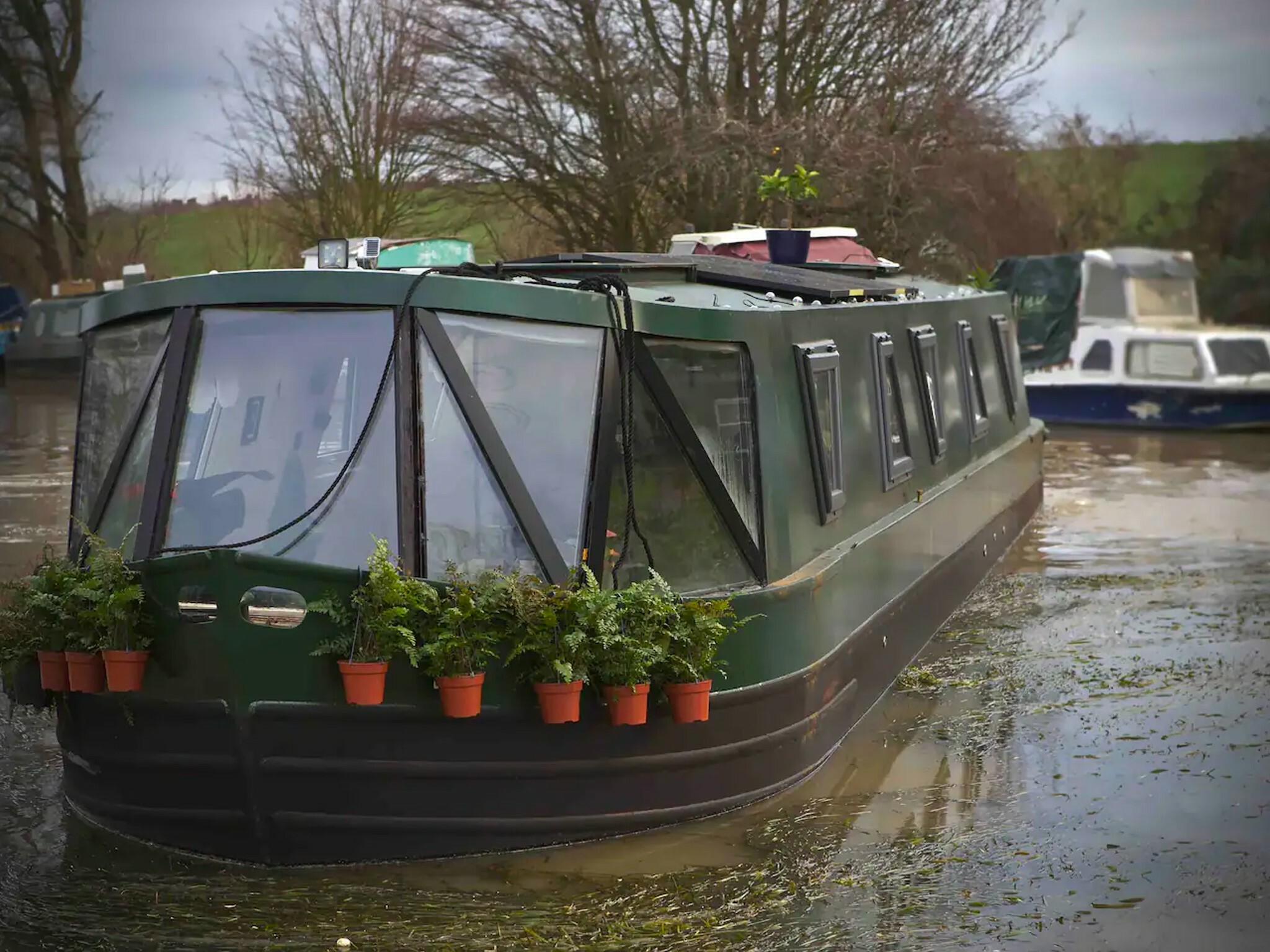 The Floating Terrarium