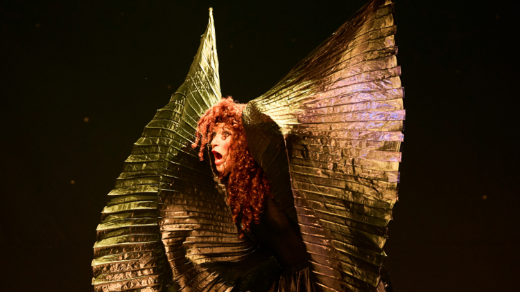 An Evening Without Kate Bush at Sydney Festival