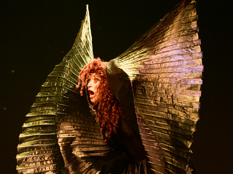 An Evening Without Kate Bush