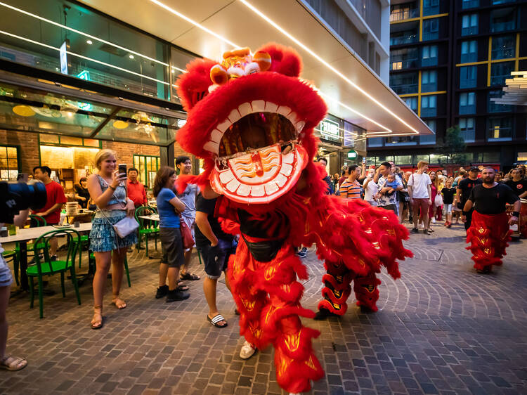 Lion dances