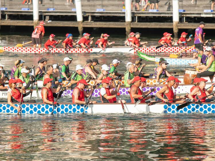 Dragon boat races