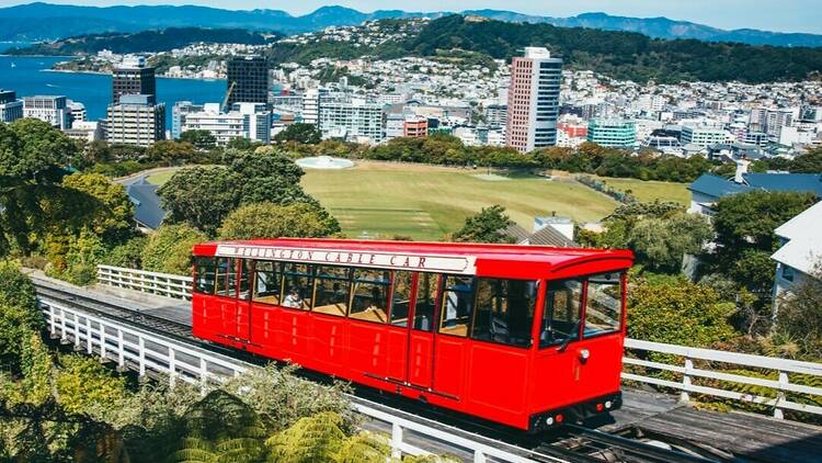 Wellington City 