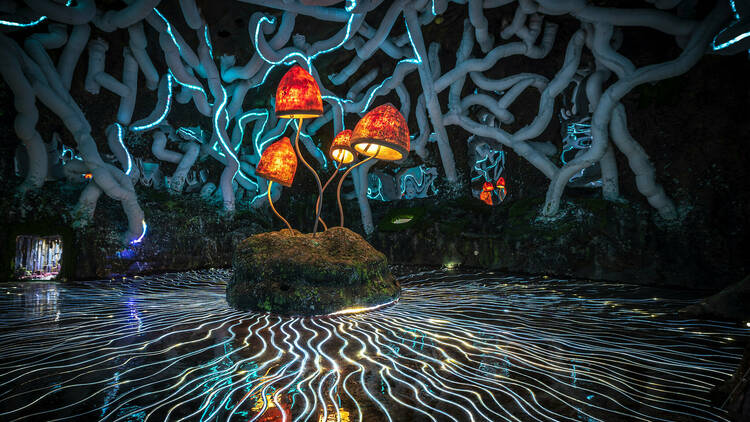 Have a mind-bending experience at Wake The Tiger