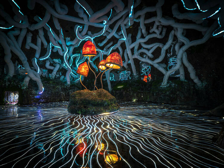 Have a mind-bending experience at Wake The Tiger