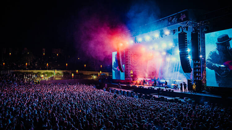 Band plays to a huge audience at Splendour in the Grass