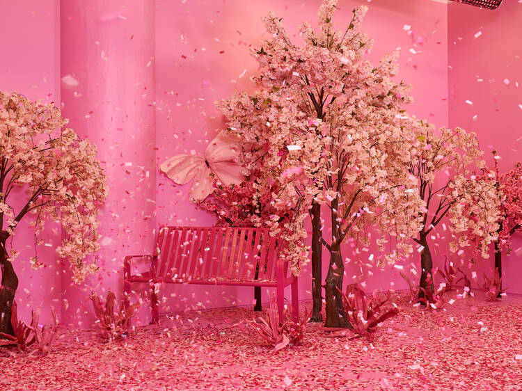 Wander through a perfectly pink art experience