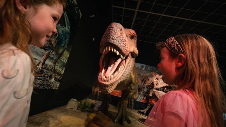 Experience dinosaurs as they really were at Dinosaur rEvolution