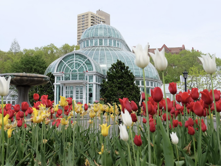 Any Class at Brooklyn Botanic Garden