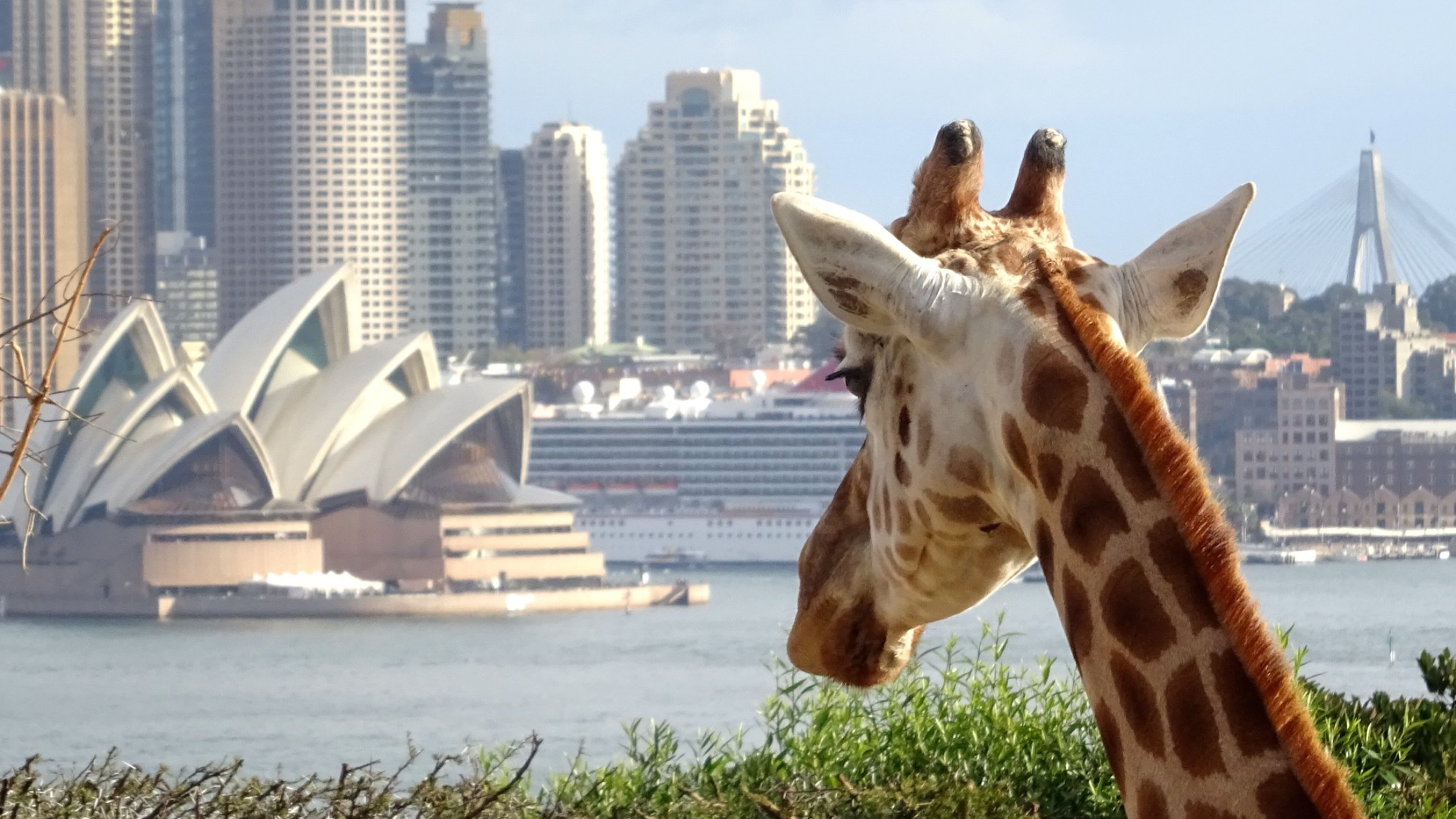 23 Amazing Tourist Attractions in Sydney That Don't Suck